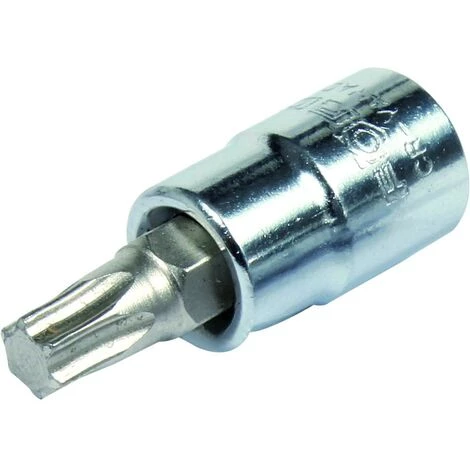 FÖRCH Schraubendrehereinsatz TX Innen 3/8” | 3/8TX-SCHR-DR-EINS.15 50MM 3 FÖRCH Schraubendrehereinsatz TX Innen 3/8” | 3/8TX-SCHR-DR-EINS.15 50MM