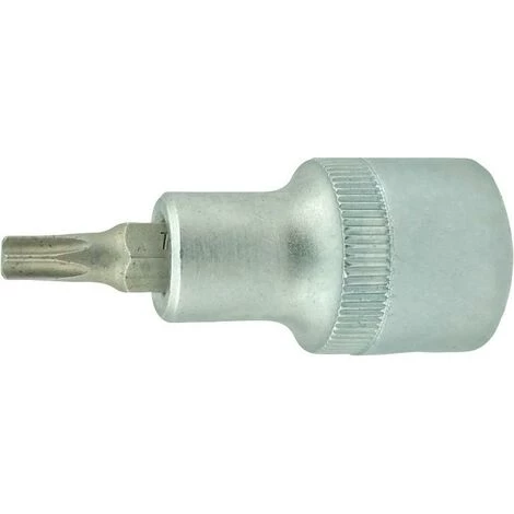 Fortis Schraubendr.-Einsatz 1/2"TX40x 55 3 Fortis Schraubendr.-Einsatz 1/2"TX40x 55