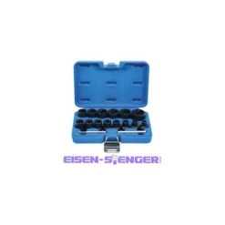 BGS TECHNIC Spezial-Steckschlüssel-Einsatz-Satz / Schraubenausdreher | Antrieb Innenvierkant 12,5 Mm (1/2) | SW 8 - 27 Mm | 16-tlg.