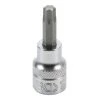 BGS TECHNIC Bit-Einsatz - 10 Mm - Torx T30 - 2545 1 BGS TECHNIC Bit-Einsatz - 10 Mm - Torx T30 - 2545 -Schlüssel Shop 41448736 1